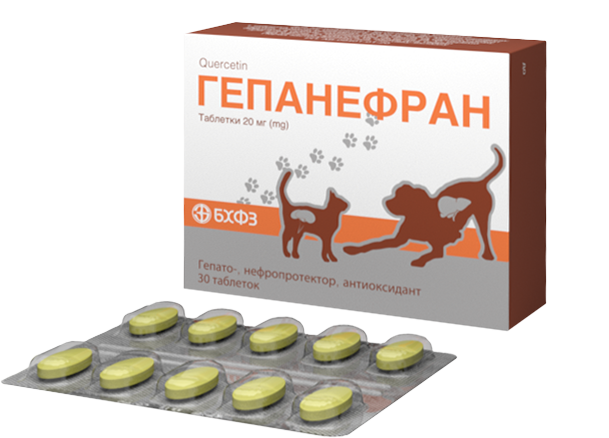 Гепанефран 20 мг, гепатопротектор для собак и кошек - БХФЗ